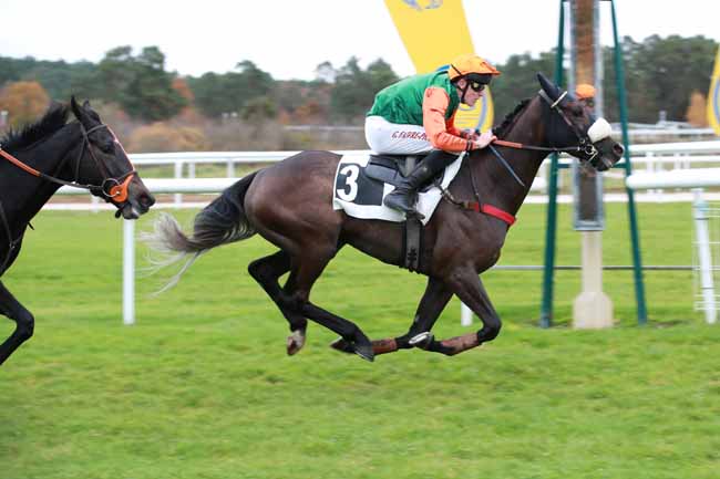 Photo d'arrivée de la course pmu PRIX DE LA CHAMBRE DE COMMERCE ET D'INDUSTRIE DE SEINE-ET-MARNE à FONTAINEBLEAU le Jeudi 6 novembre 2025