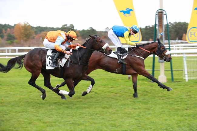 Photo d'arrivée de la course pmu PRIX DE CHAMPAGNE-SUR-SEINE à FONTAINEBLEAU le Jeudi 6 novembre 2025