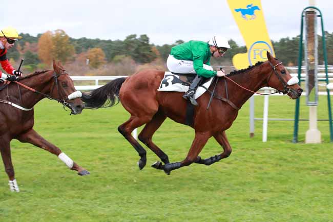 Photo d'arrivée de la course pmu PRIX PRINCESSE D'ANJOU à FONTAINEBLEAU le Jeudi 6 novembre 2025
