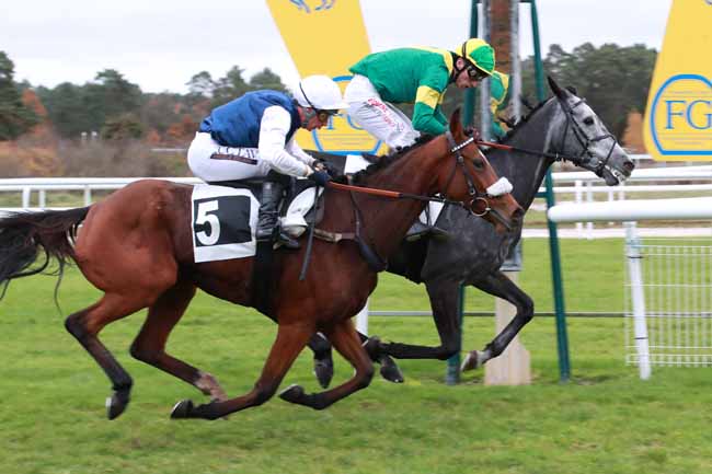 Photo d'arrivée de la course pmu PRIX DU MASSIF FORESTIER à FONTAINEBLEAU le Jeudi 6 novembre 2025