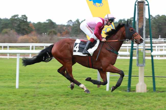 Photo d'arrivée de la course pmu PRIX DU DEBUCHER à FONTAINEBLEAU le Jeudi 6 novembre 2025