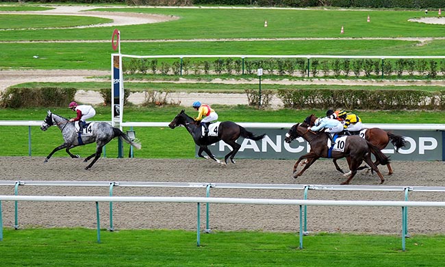 Photo d'arrivée de la course pmu PRIX DE L'OPERATION WINDSOR à DEAUVILLE le Jeudi 6 novembre 2025