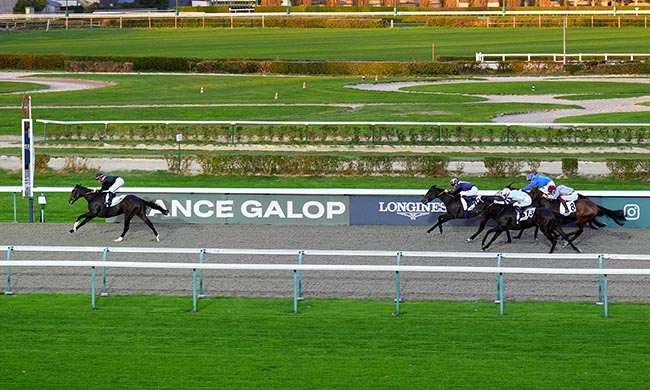 Photo d'arrivée de la course pmu PRIX DE LA PIGEONNIERE à DEAUVILLE le Jeudi 6 novembre 2025