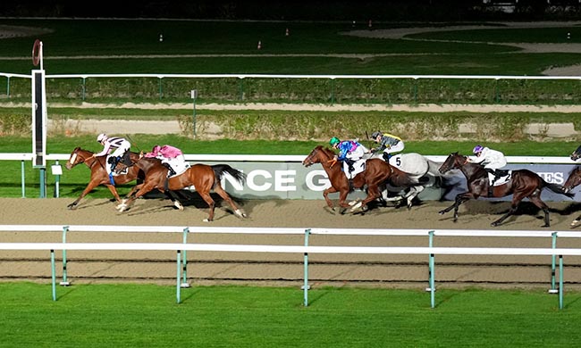 Photo d'arrivée de la course pmu PRIX DE LA HALLE AUX POISSONS à DEAUVILLE le Jeudi 6 novembre 2025