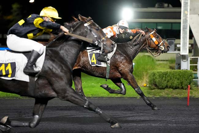 Photo d'arrivée de la course pmu PRIX NEMESIS à PARIS-VINCENNES le Vendredi 7 novembre 2025