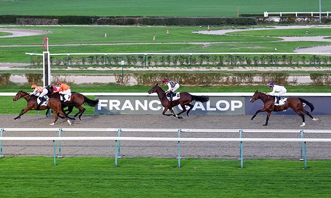 Photo d'arrivée de la course pmu PRIX DU MONT LION à DEAUVILLE le Vendredi 7 novembre 2025