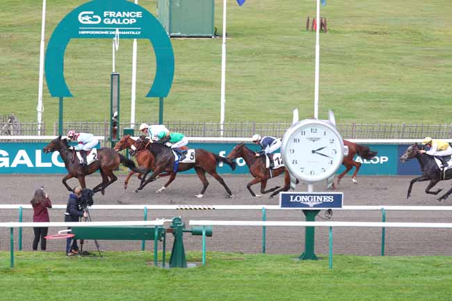 Photo d'arrivée de la course pmu PRIX DE LA CROIX SAINT-RIEUIL à CHANTILLY le Samedi 8 novembre 2025