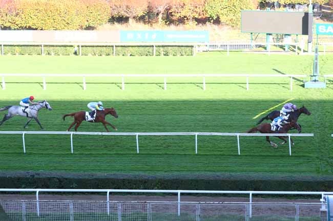 Photo d'arrivée de la course pmu PRIX TANTIEME à SAINT CLOUD le Dimanche 9 novembre 2025