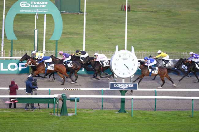 Photo d'arrivée de la course pmu PRIX DE LA SALLE DE LA SMALAH à CHANTILLY le Lundi 10 novembre 2025