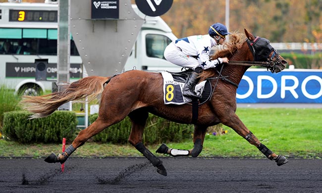 Photo d'arrivée de la course pmu PRIX DE BELLERIVE à PARIS-VINCENNES le Lundi 10 novembre 2025