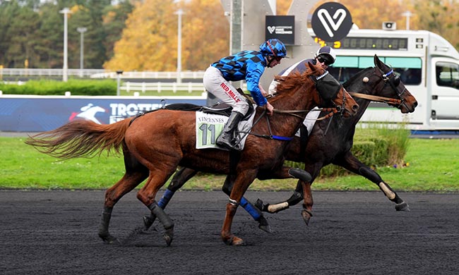Photo d'arrivée de la course pmu PRIX DE PONTORSON à PARIS-VINCENNES le Lundi 10 novembre 2025