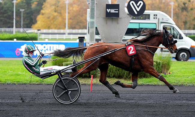 Photo d'arrivée de la course pmu PRIX DE CASTRES à PARIS-VINCENNES le Lundi 10 novembre 2025