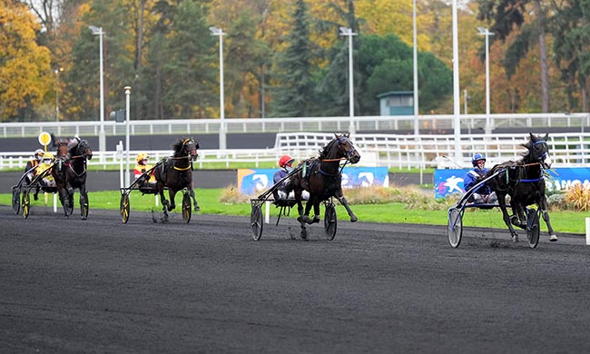 Photo d'arrivée de la course pmu PRIX DES TULIPES à PARIS-VINCENNES le Lundi 10 novembre 2025