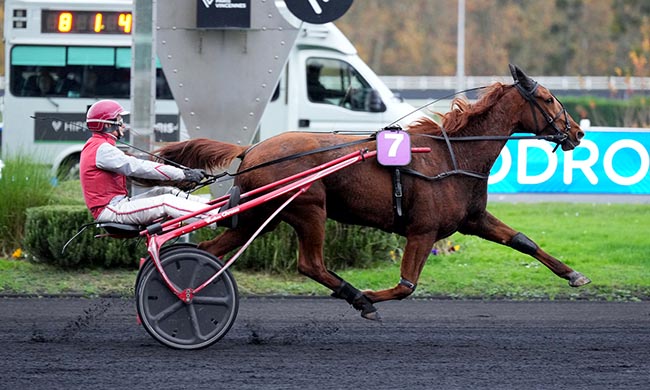 Photo d'arrivée de la course pmu PRIX DE BRIANCON à PARIS-VINCENNES le Lundi 10 novembre 2025