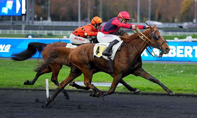 Photo d'arrivée de la course pmu PRIX ALBERT LIBEER à PARIS-VINCENNES le Lundi 10 novembre 2025