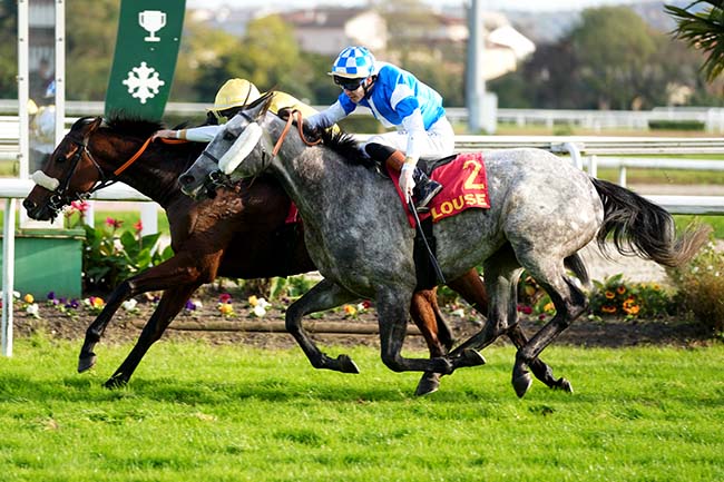 Arrivée quinté pmu PRIX DE LA VILLE DE TOULOUSE à TOULOUSE