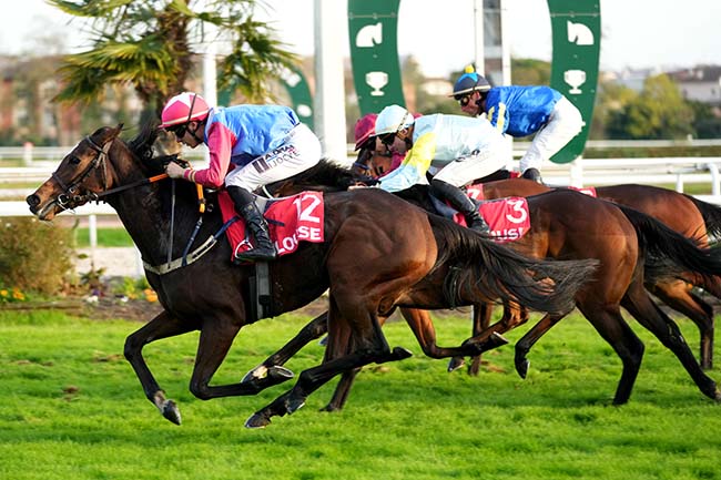 Photo d'arrivée de la course pmu PRIX JEROME RAMBAUD à TOULOUSE le Mardi 11 novembre 2025