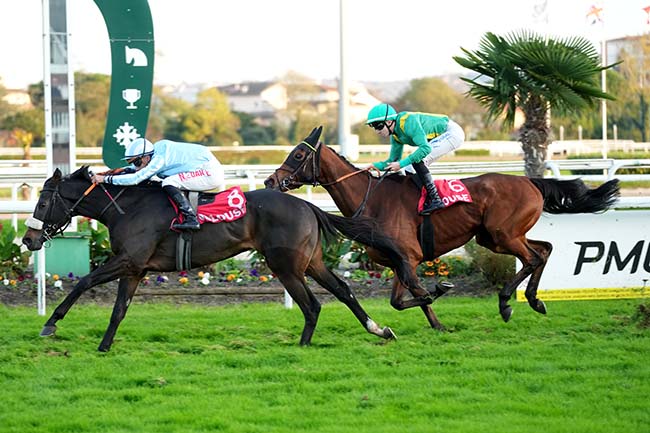 Photo d'arrivée de la course pmu PRIX SYNERGY (PRIX COMFORT APARTHOTEL TOULOUSE METROPOLE) à TOULOUSE le Mardi 11 novembre 2025