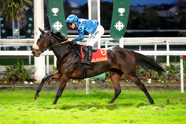 Photo d'arrivée de la course pmu GRAND NATIONAL DES ANGLO-ARABES A 12.5 % à TOULOUSE le Mardi 11 novembre 2025