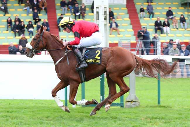 Photo d'arrivée de la course pmu PRIX KERLOR à COMPIEGNE le Mardi 11 novembre 2025