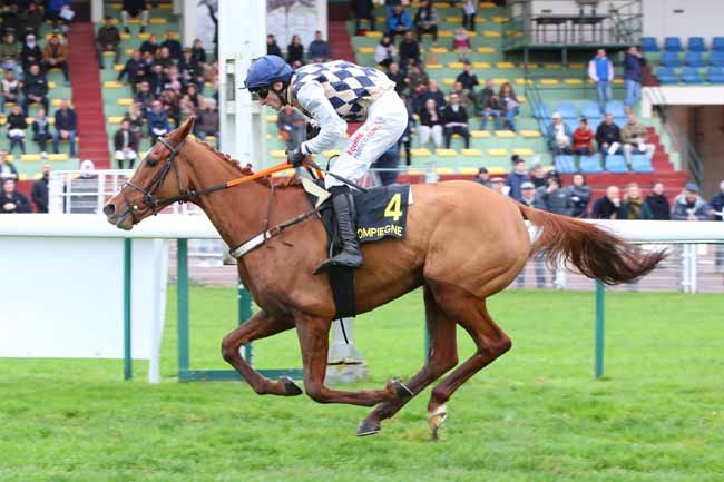 Photo d'arrivée de la course pmu PRIX ELISA à COMPIEGNE le Mardi 11 novembre 2025