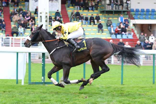 Photo d'arrivée de la course pmu PRIX HURON à COMPIEGNE le Mardi 11 novembre 2025
