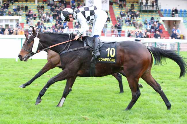 Photo d'arrivée de la course pmu PRIX CHAKHANSOOR (CHMPT DES APPRENTIS & JEUNES JOCKEYS) à COMPIEGNE le Mardi 11 novembre 2025