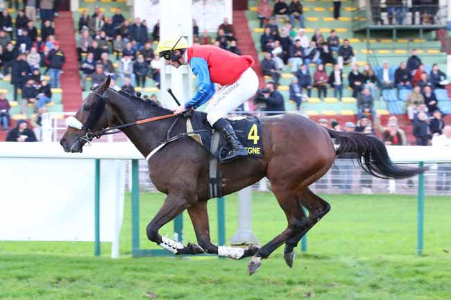 Photo d'arrivée de la course pmu GRAND STEEPLE-CHASE-CROSS-COUNTRY DE COMPIEGNE à COMPIEGNE le Mardi 11 novembre 2025