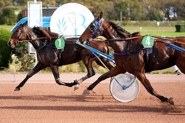 Photo d'arrivée de la course pmu PRIX JEAN-FRANCOIS MAURY à BORDEAUX-LE BOUSCAT le Mercredi 12 novembre 2025