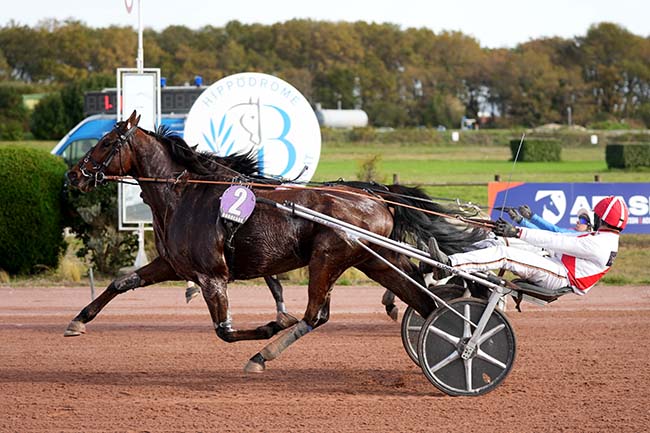 Photo d'arrivée de la course pmu PRIX JARDY à BORDEAUX-LE BOUSCAT le Mercredi 12 novembre 2025