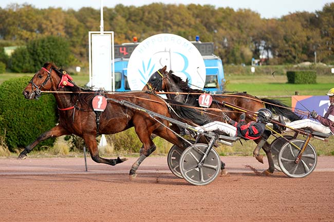 Photo d'arrivée de la course pmu PRIX CHATEAU CHANTEGRIVE à BORDEAUX-LE BOUSCAT le Mercredi 12 novembre 2025