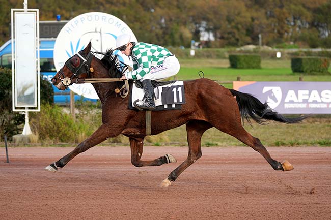 Photo d'arrivée de la course pmu PRIX RFM - PRIX FANDANGO à BORDEAUX-LE BOUSCAT le Mercredi 12 novembre 2025
