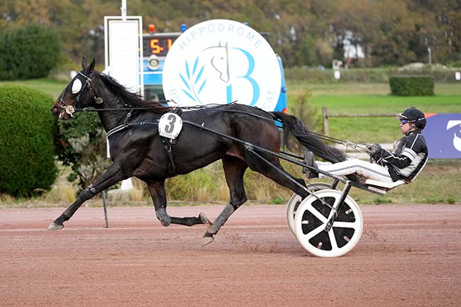 Photo d'arrivée de la course pmu GRAND PRIX DYNAVENA à BORDEAUX-LE BOUSCAT le Mercredi 12 novembre 2025
