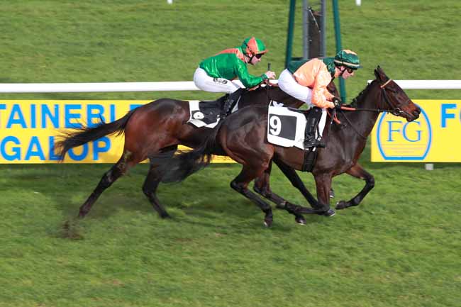 Photo d'arrivée de la course pmu PRIX 