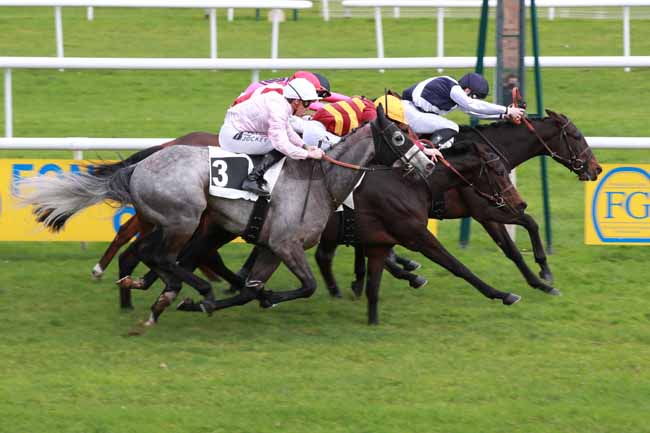 Photo d'arrivée de la course pmu PRIX DE LA PORTE NADON à FONTAINEBLEAU le Jeudi 13 novembre 2025