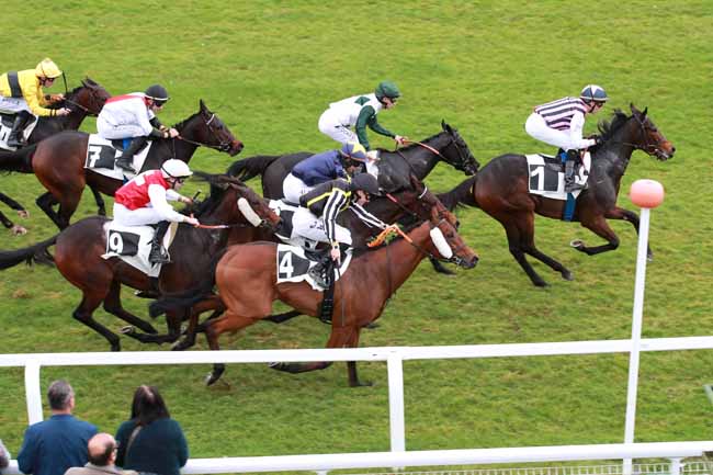 Photo d'arrivée de la course pmu PRIX DE VICHY à FONTAINEBLEAU le Jeudi 13 novembre 2025