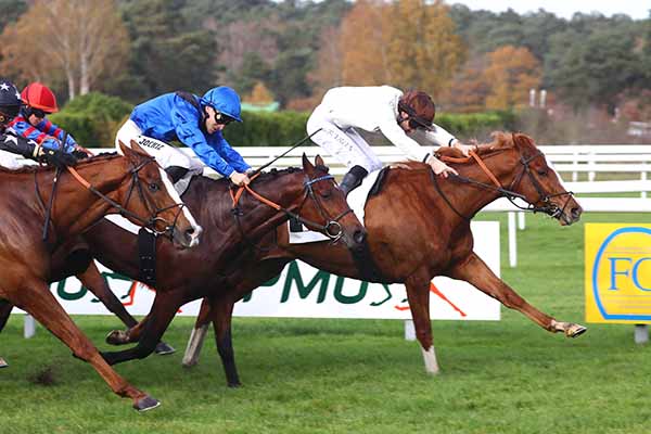 Photo d'arrivée de la course pmu PRIX DENISY à FONTAINEBLEAU le Jeudi 13 novembre 2025
