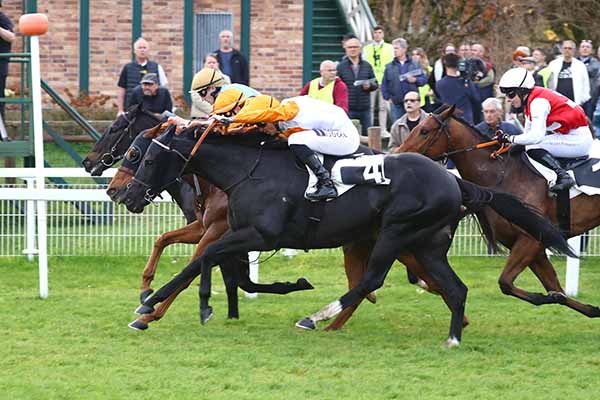 Photo d'arrivée de la course pmu PRIX DU BOIS NOTRE-DAME à FONTAINEBLEAU le Jeudi 13 novembre 2025