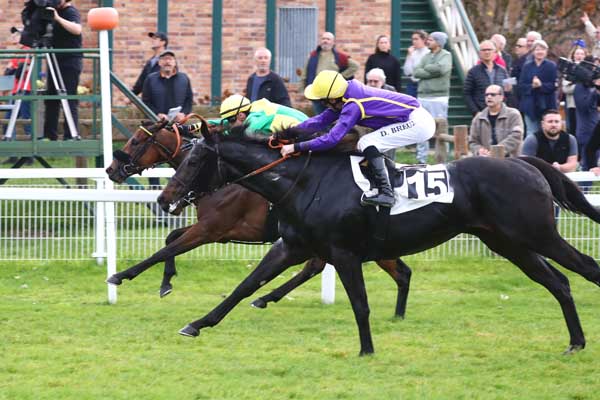 Photo d'arrivée de la course pmu PRIX DE LA LANDE DE BRUYERE à FONTAINEBLEAU le Jeudi 13 novembre 2025