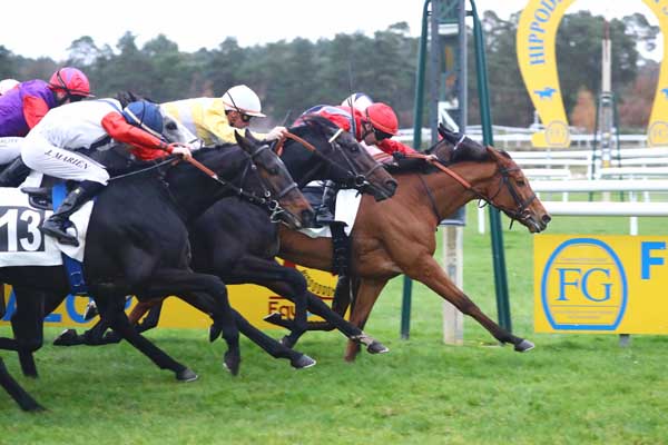 Photo d'arrivée de la course pmu PRIX DE LA CROIX DU GRAND VENEUR à FONTAINEBLEAU le Jeudi 13 novembre 2025