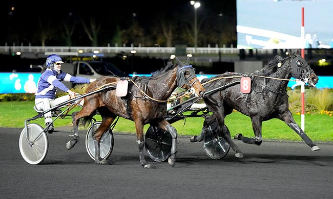 Photo d'arrivée de la course pmu PRIX DU CHER à PARIS-VINCENNES le Jeudi 13 novembre 2025