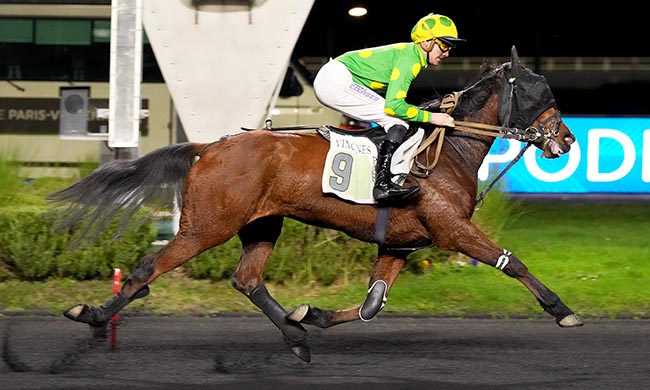 Photo d'arrivée de la course pmu PRIX PSYCHE à PARIS-VINCENNES le Jeudi 13 novembre 2025