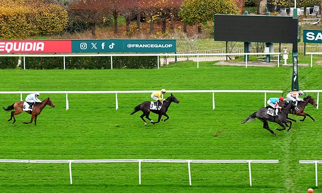Photo d'arrivée de la course pmu PRIX PHARSALE à SAINT CLOUD le Vendredi 14 novembre 2025