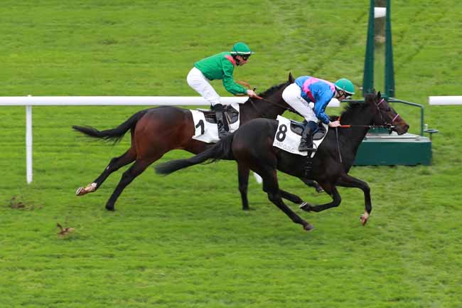 Photo d'arrivée de la course pmu PRIX KANTAR à SAINT CLOUD le Vendredi 14 novembre 2025