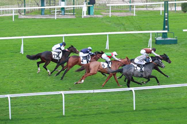 Photo d'arrivée de la course pmu PRIX DE LA GOUBINIERE à SAINT CLOUD le Vendredi 14 novembre 2025