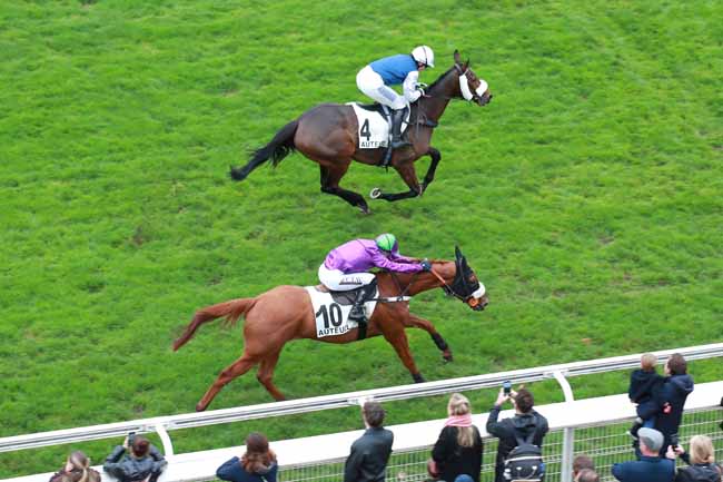 Photo d'arrivée de la course pmu PRIX ROBERT ET JEAN-CLAUDE WEILL à AUTEUIL le Samedi 15 novembre 2025