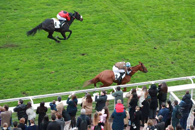 Photo d'arrivée de la course pmu PRIX OENEAS à AUTEUIL le Samedi 15 novembre 2025