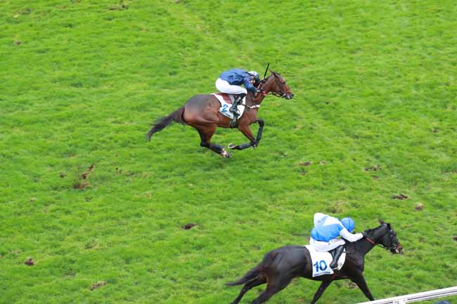 Photo d'arrivée de la course pmu HARAS D'ETREHAM - PRIX MAGALEN BRYANT à AUTEUIL le Samedi 15 novembre 2025