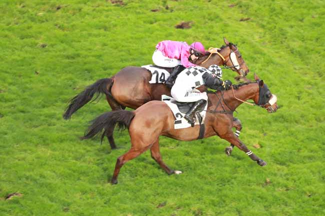 Arrivée quinté pmu PRIX COUNT SCHOMBERG - GENY.COM à AUTEUIL