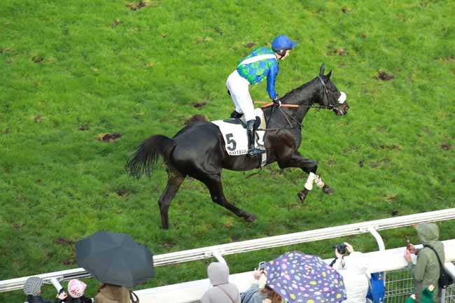Photo d'arrivée de la course pmu PRIX SERGE LANDON - GRAND PRIX D'AUTOMNE à AUTEUIL le Samedi 15 novembre 2025